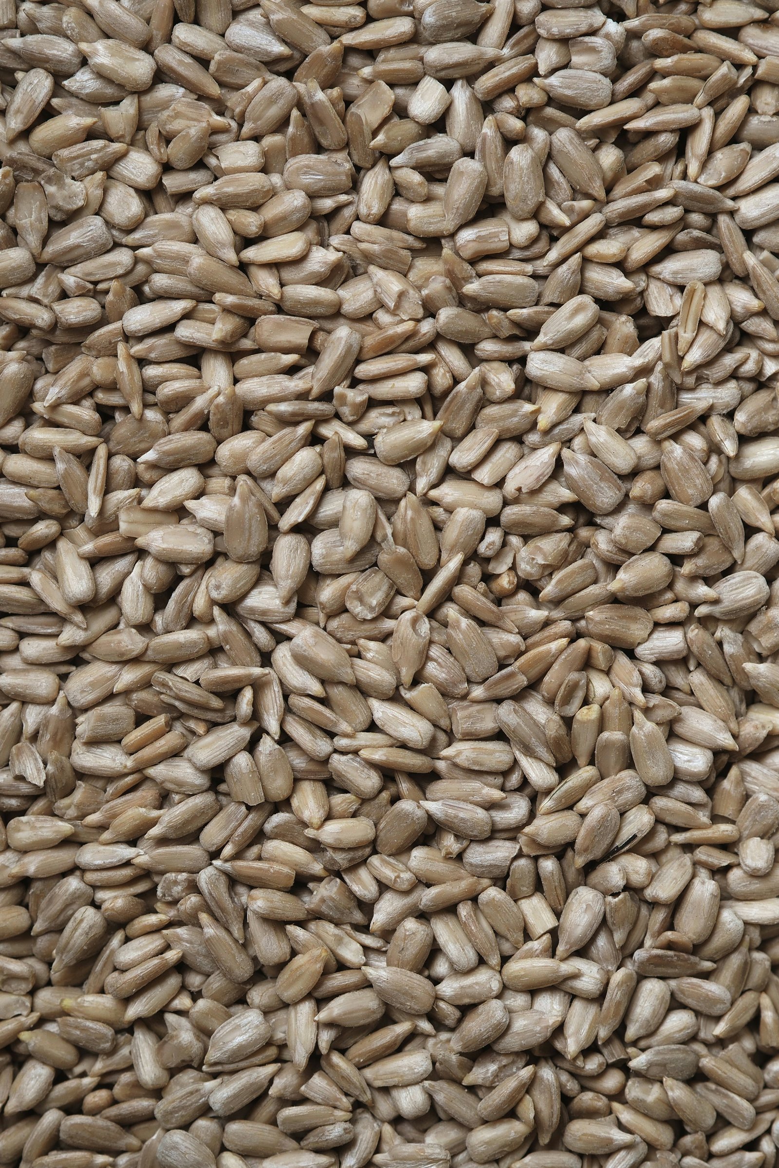 Sunflower Seeds Kernel